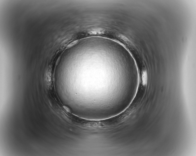 X0000085781444200703161154