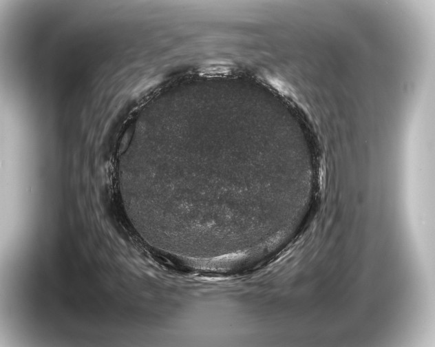 X0000085781445200703161154