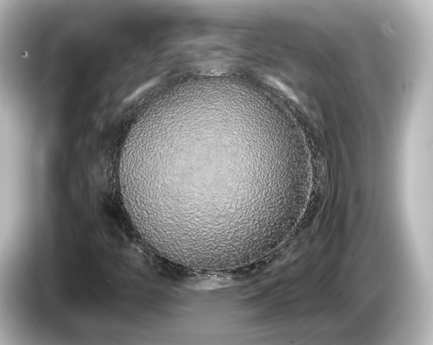 X0000085781446200703161154