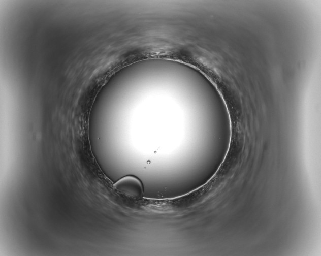 X0000085781447200703161154