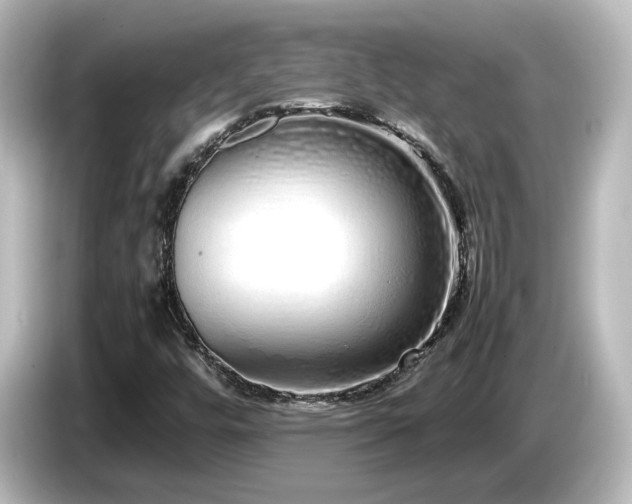 X0000085781448200703161154