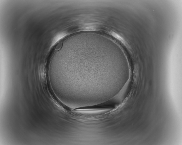 X0000085781450200703161154