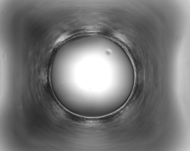 X0000085781451200703161154