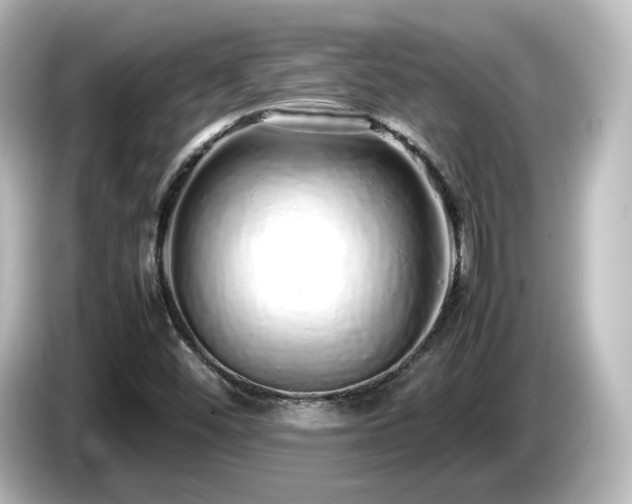 X0000085781452200703161154