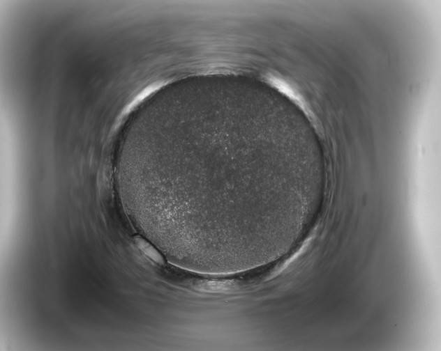 X0000085781453200703161154
