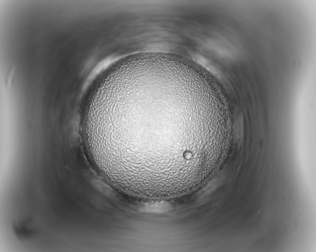 X0000085781454200703161154