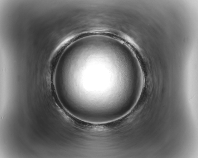 X0000085781456200703161154