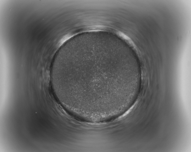 X0000085781457200703161154