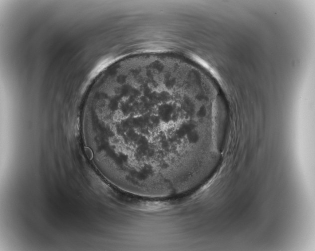 X0000085781459200703161154
