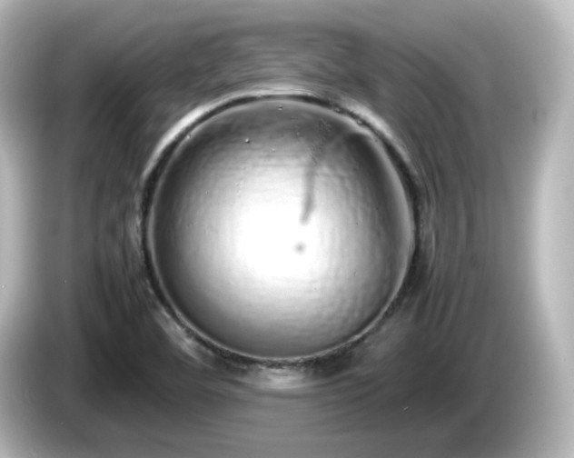 X0000085781460200703161154