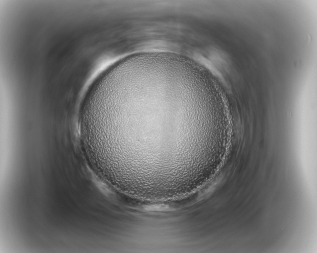X0000085781462200703161154