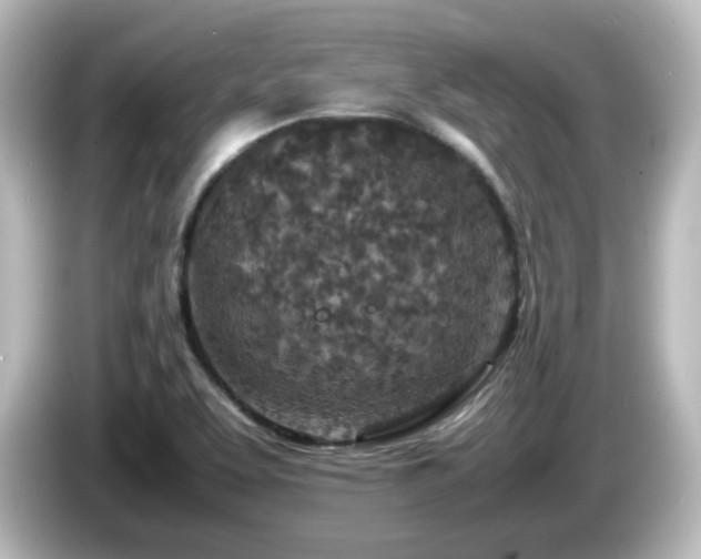 X0000085781463200703161154