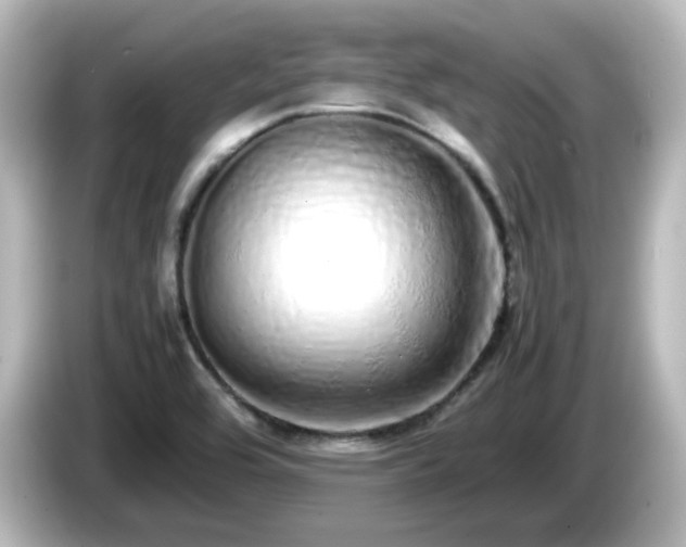 X0000085781464200703161154