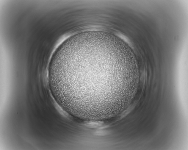 X0000085781466200703161154