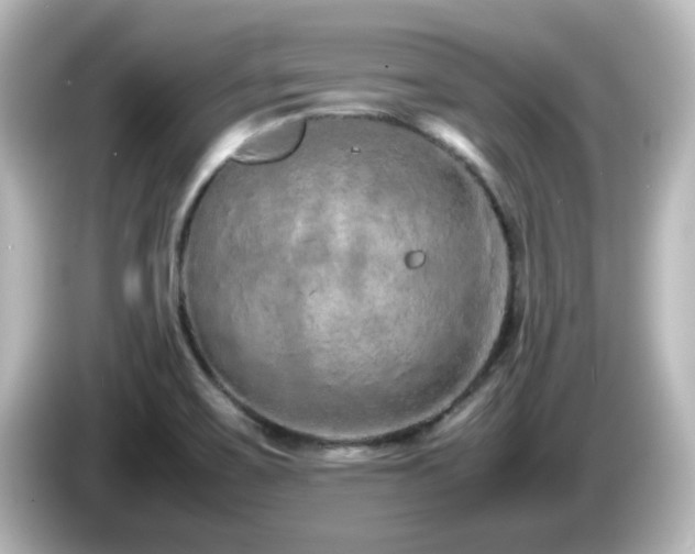 X0000085781467200703161154