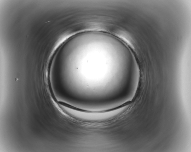 X0000085781468200703161154
