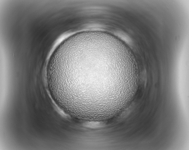 X0000085781470200703161154