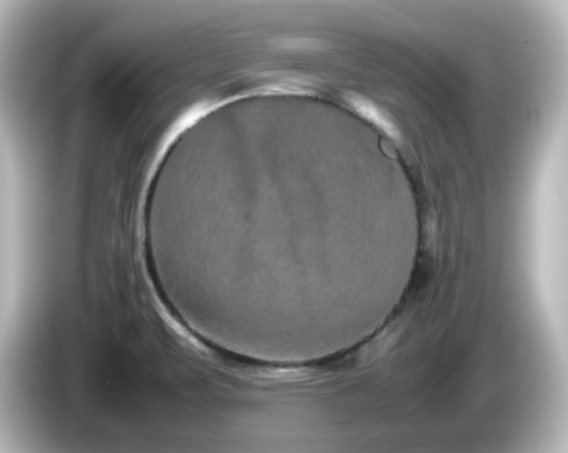 X0000085781471200703161154