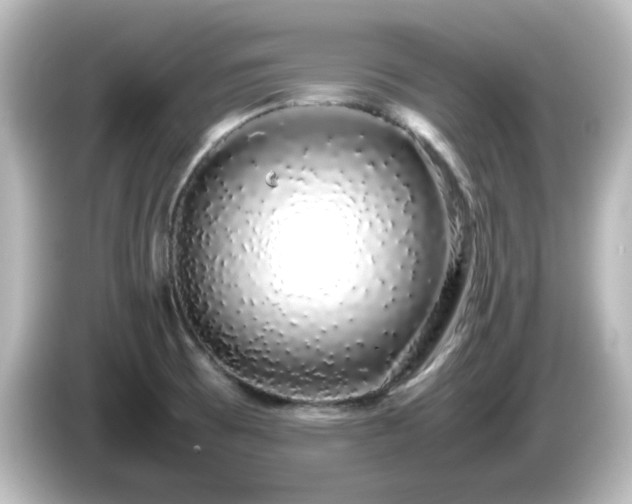X0000085781473200703161154