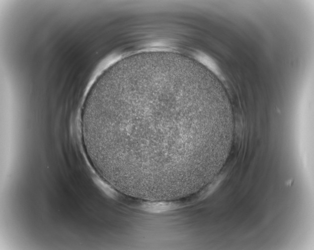 X0000085781474200703161154
