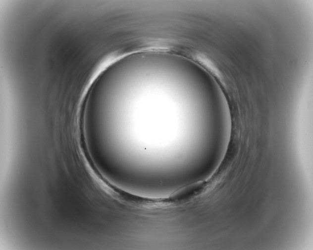 X0000085781475200703161154