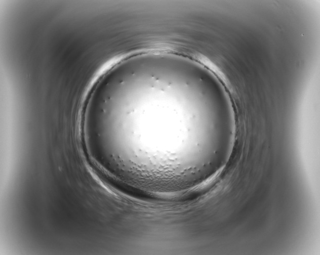 X0000085781477200703161154