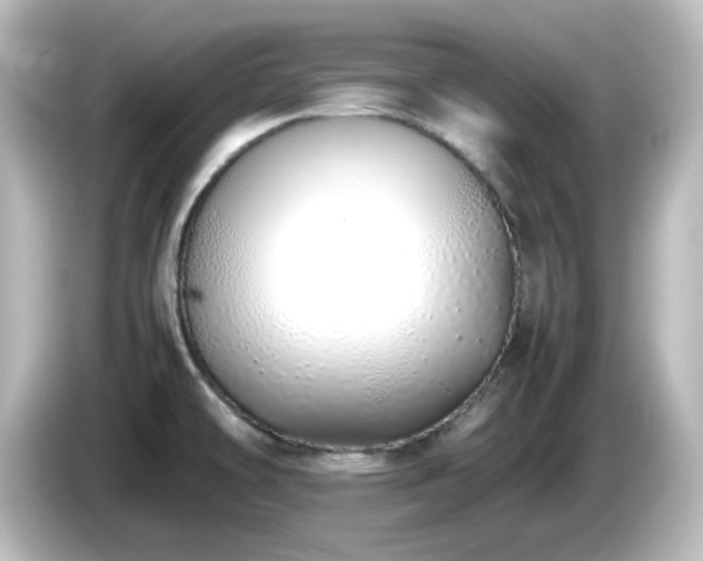 X0000085781478200703161154