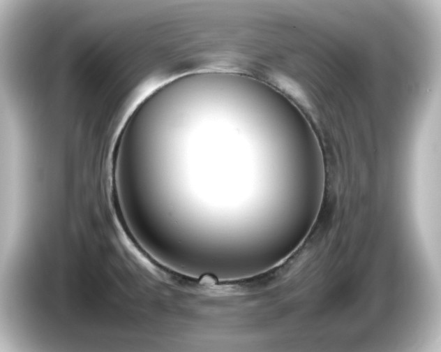 X0000085781479200703161154