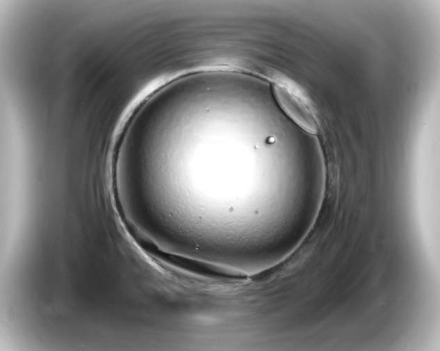 X0000085781480200703161154