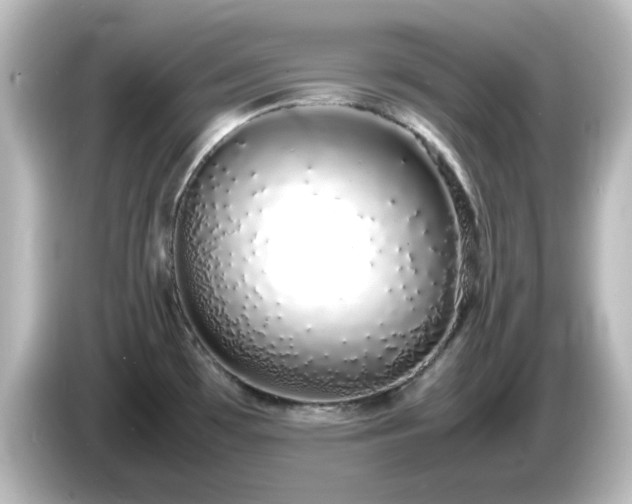 X0000085781481200703161154
