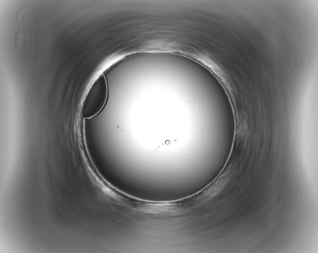 X0000085781486200703161154