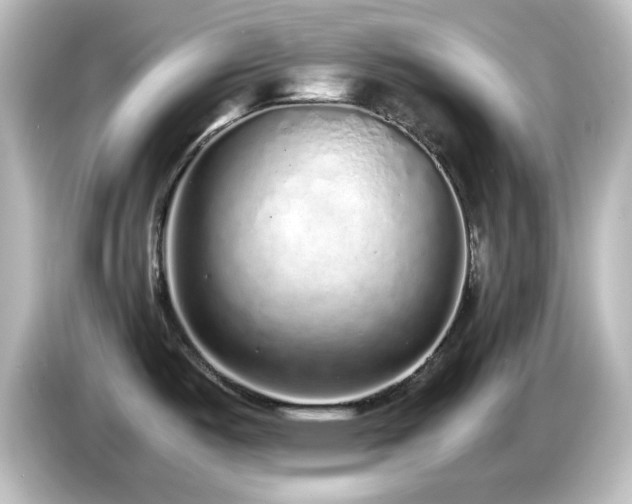X0000085781487200703161154