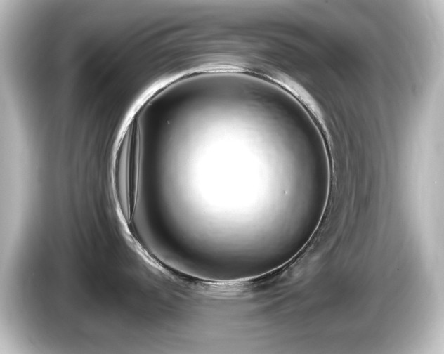 X0000085781488200703161154