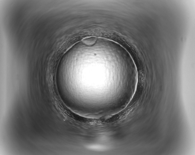 X0000085781489200703161153