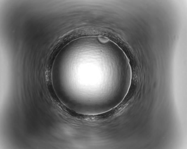 X0000085781490200703161153