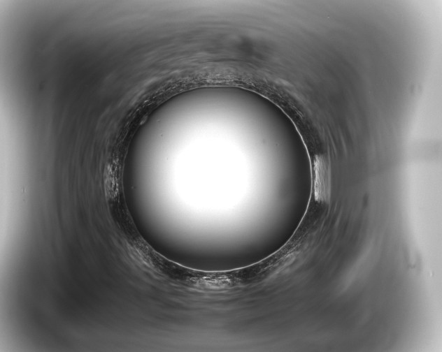 X0000085781491200703161153