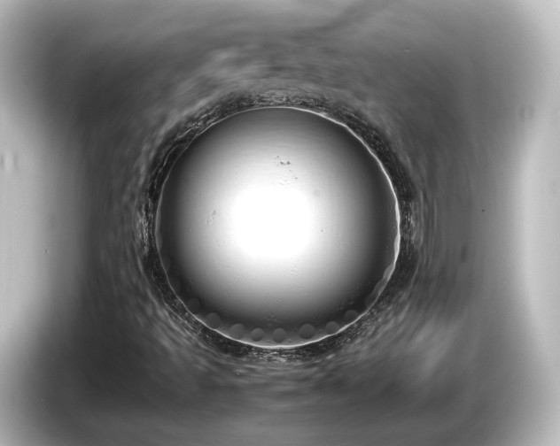 X0000085781493200703161153