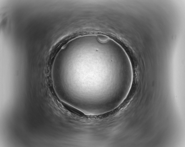 X0000085781494200703161153