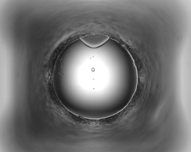 X0000085781495200703161153