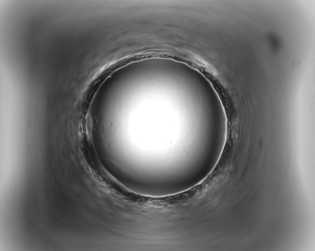 X0000085781496200703161153