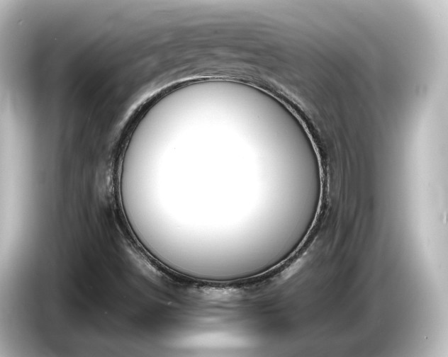 X0000085781498200703161153