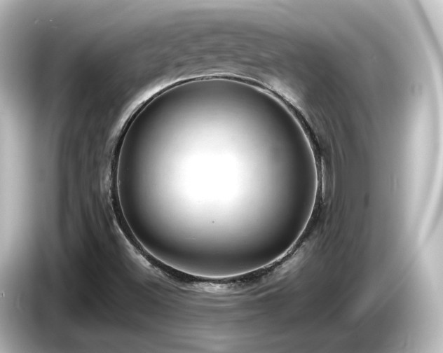 X0000085781500200703161153