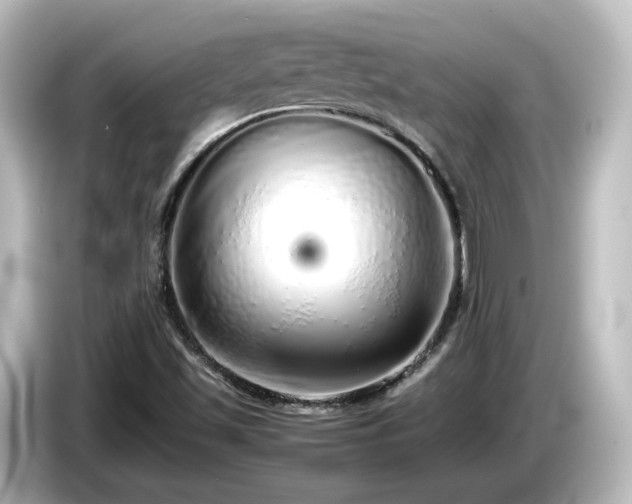 X0000085781501200703161153