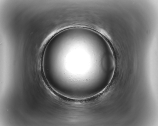 X0000085781504200703161153
