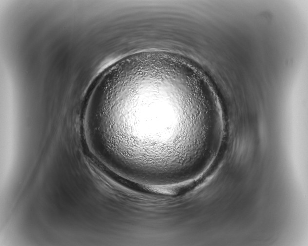 X0000085781505200703161153