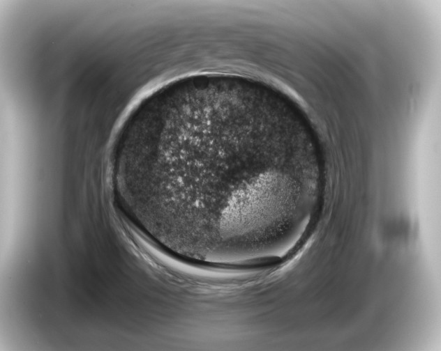X0000085781506200703161153
