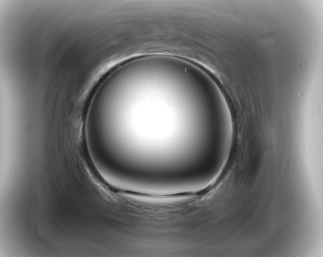 X0000085781507200703161153