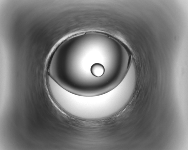 X0000085781508200703161153