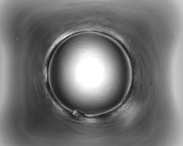 X0000085781509200703161153