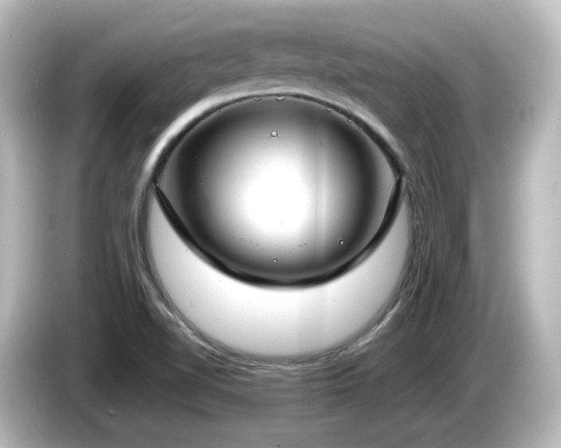 X0000085781510200703161153